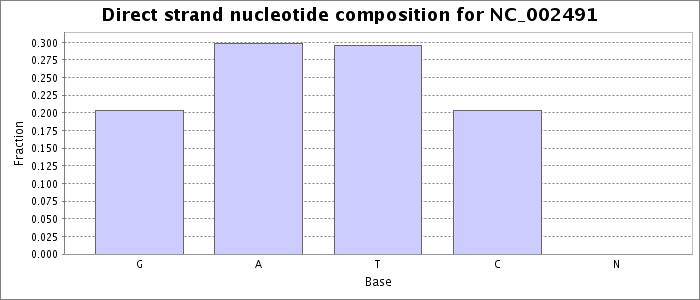 Nucleotide composition on the direct strand