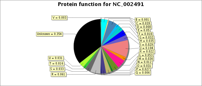 Protein function