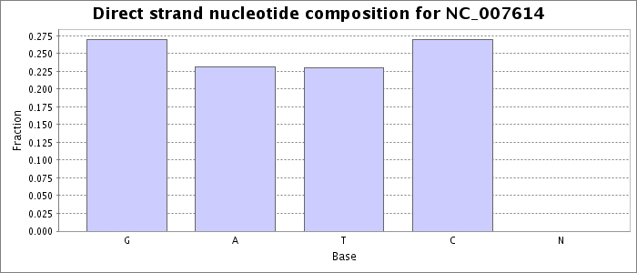 Nucleotide composition on the direct strand