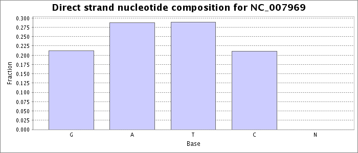 Nucleotide composition on the direct strand