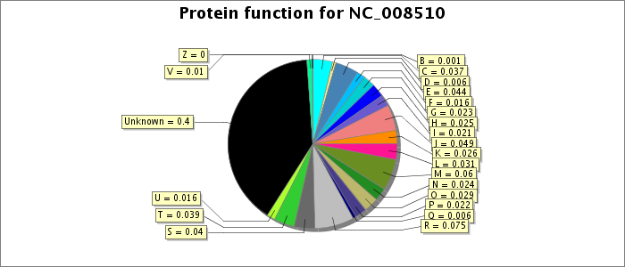 Protein function