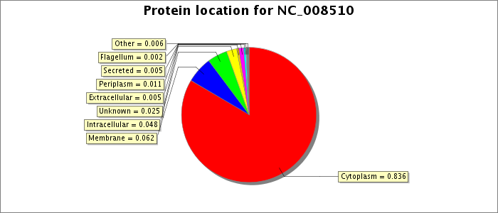 Protein location