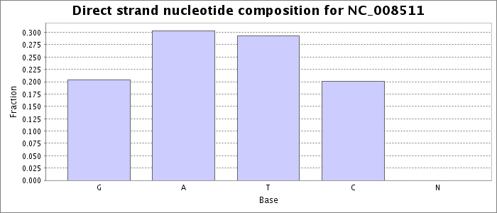 Nucleotide composition on the direct strand