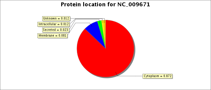 Protein location