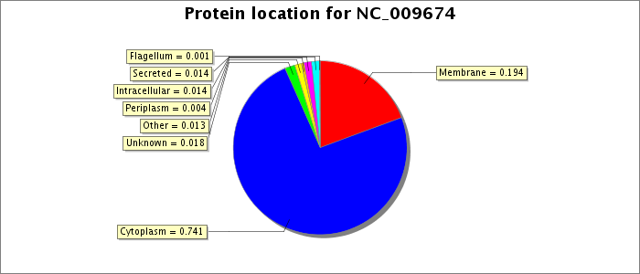 Protein location