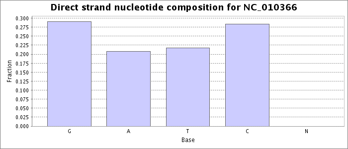 Nucleotide composition on the direct strand