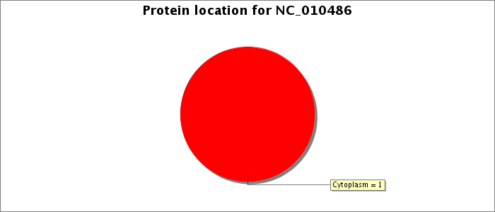 Protein location