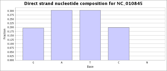 Nucleotide composition on the direct strand
