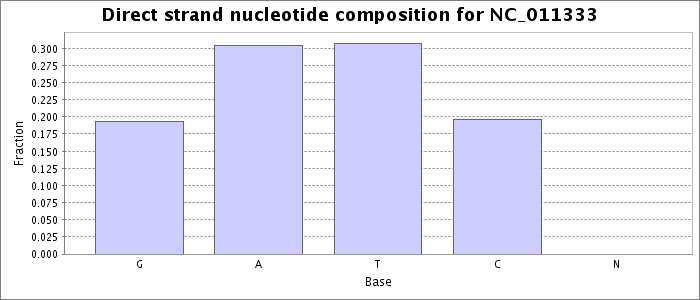 Nucleotide composition on the direct strand