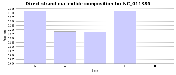 Nucleotide composition on the direct strand