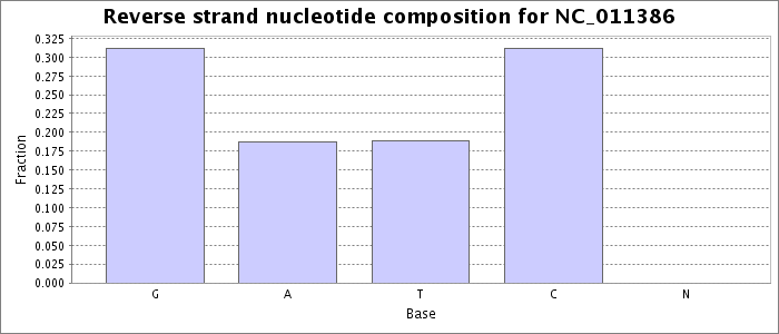 Nucleotide composition on the reverse strand