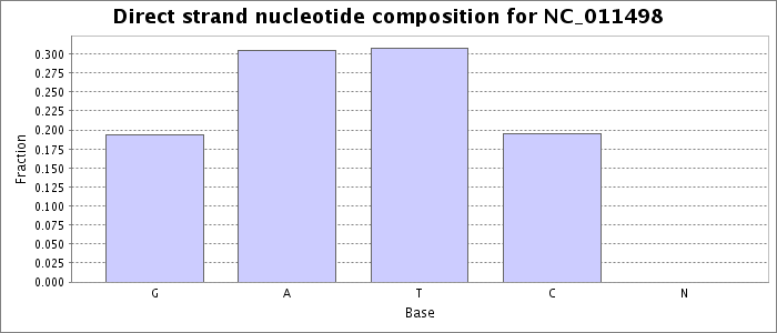 Nucleotide composition on the direct strand