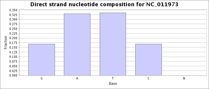 Nucleotide composition on the direct strand