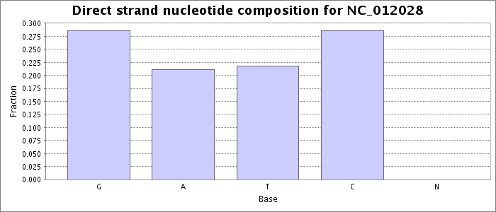 Nucleotide composition on the direct strand