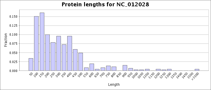 Protein length