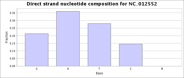 Nucleotide composition on the direct strand