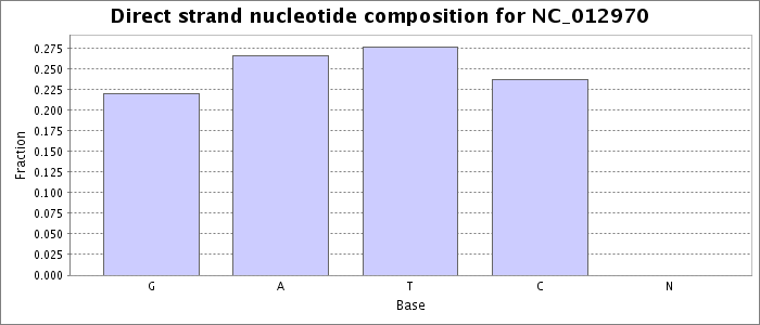 Nucleotide composition on the direct strand