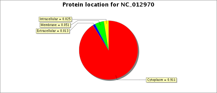 Protein location