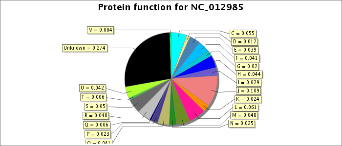 Protein function