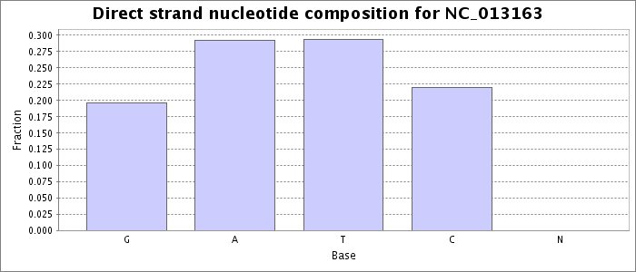 Nucleotide composition on the direct strand