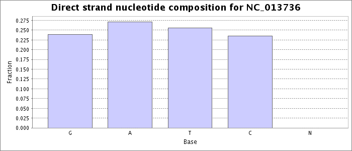 Nucleotide composition on the direct strand