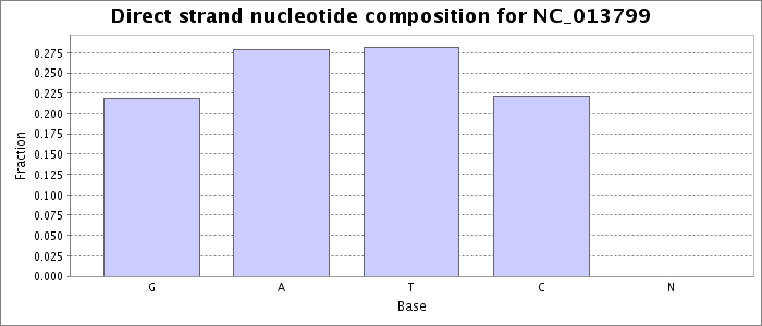 Nucleotide composition on the direct strand