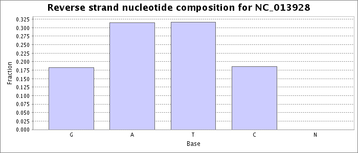 Nucleotide composition on the reverse strand